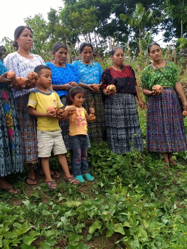 Mujeres produciendo alimentos sanos Chiquixji